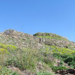 IMG_4481