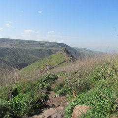 IMG_4482