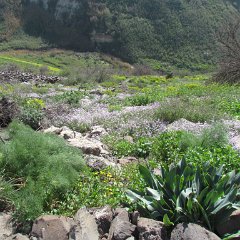 IMG_4486