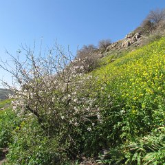 IMG_4487