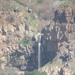 IMG_4490