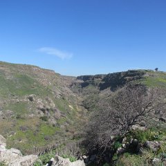 IMG_4491