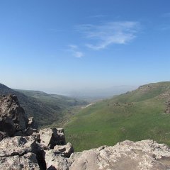 IMG_4492