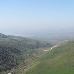 IMG_4493