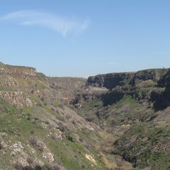IMG_4494