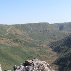 IMG_4495