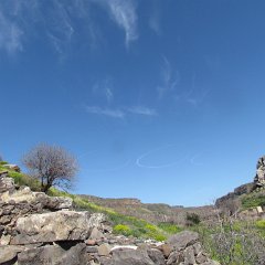 IMG_4500