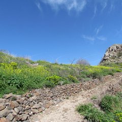 IMG_4501