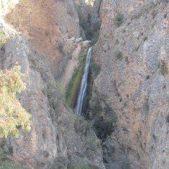IMG_5243
