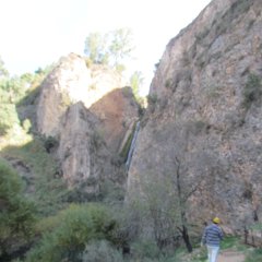 IMG_5245