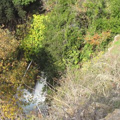 IMG_4416