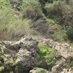 IMG_4420