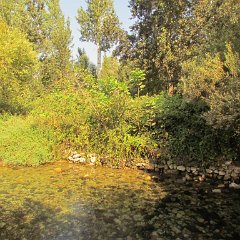 IMG_5080