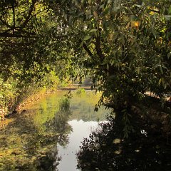 IMG_5081