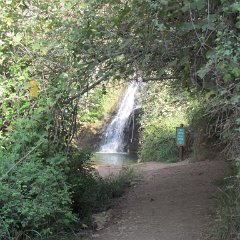 IMG_5118