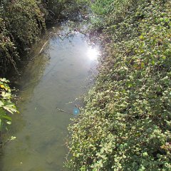 IMG_5128
