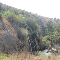 IMG_5134