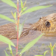 IMG_4789