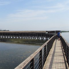 IMG_4803