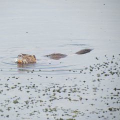IMG_4805