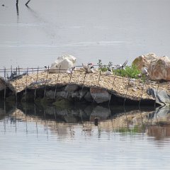 IMG_4808