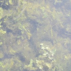 IMG_4812