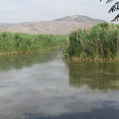 IMG_4819