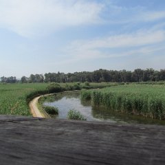 IMG_4823