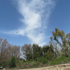 IMG_4625