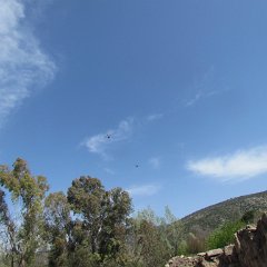 IMG_4626