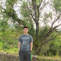 BanyasWaterFall