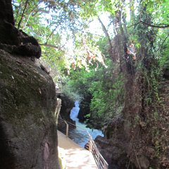 IMG_4758
