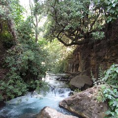IMG_4761