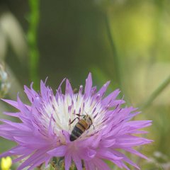 IMG_4763