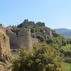 IMG_4699