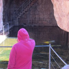 IMG_4700