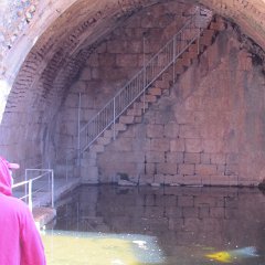 IMG_4701
