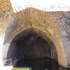 IMG_4703