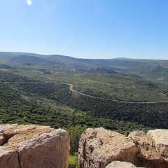 IMG_4704