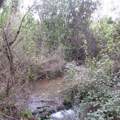 IMG_4572