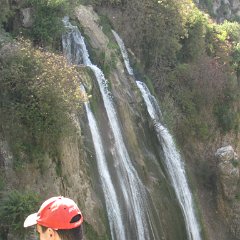 IMG_4651