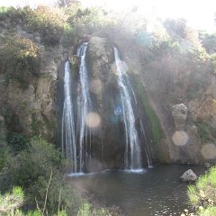 IMG_4652
