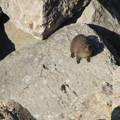 IMG_5190