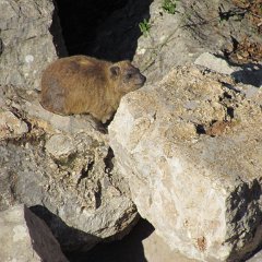 IMG_5191