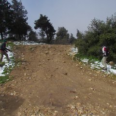 IMG_4540