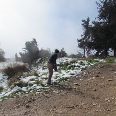 IMG_4541