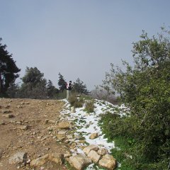 IMG_4542