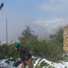 IMG_4547
