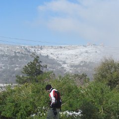 IMG_4550
