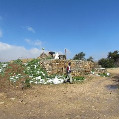 IMG_4553
